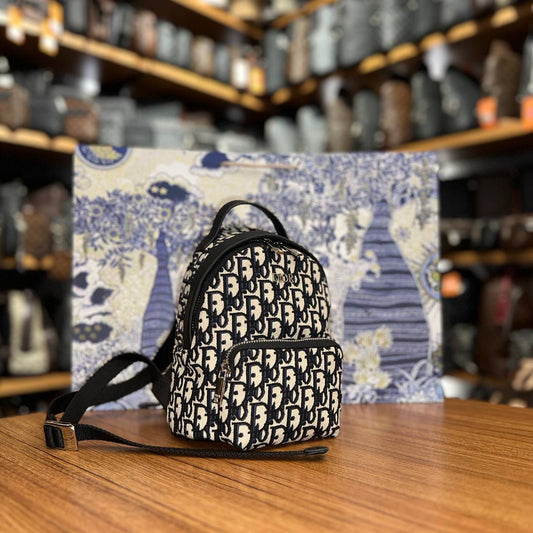 Dior mini Backpack