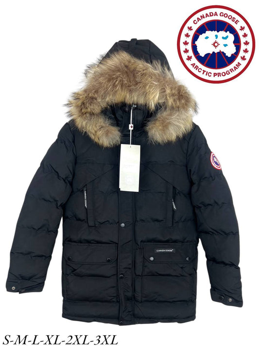 Canada Goose